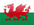 Flagge Wales